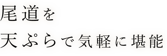 尾道を天ぷらで気軽に堪能